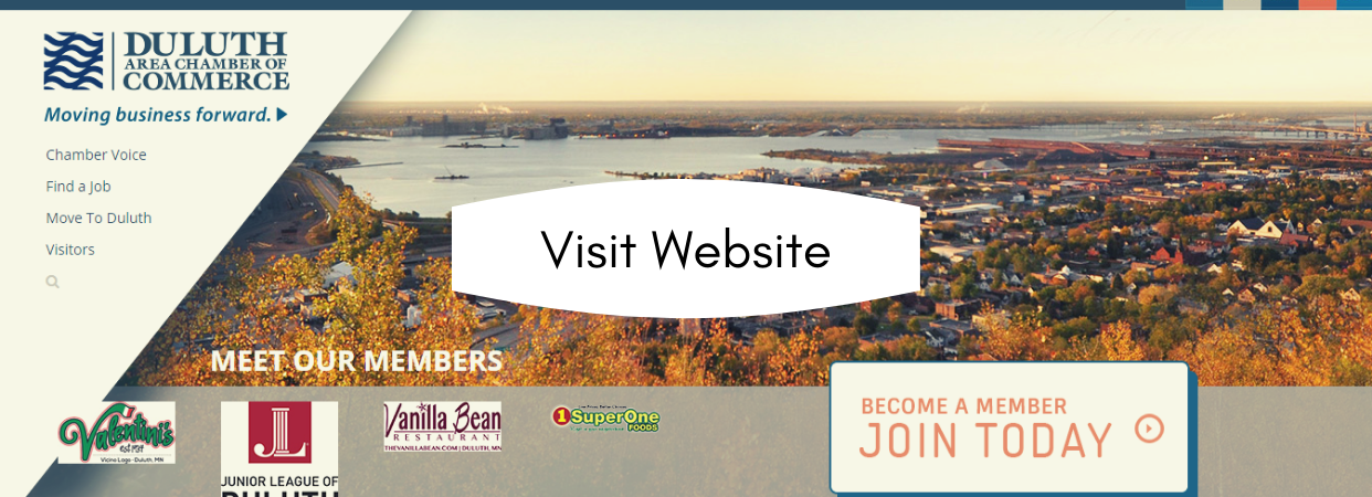 Duluth Area Chamber (1).png