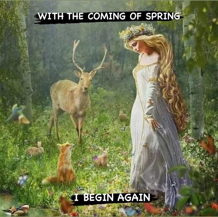 Ostara Blessings for a beautiful renewal! Today the Sun enters Aires brining us to the first day of the Astrological Wheel tomorrow! ✨🌸✨

Bless your space with flowers 💐 clear your altar and reset with intentions for an abundant and joyful year! 

