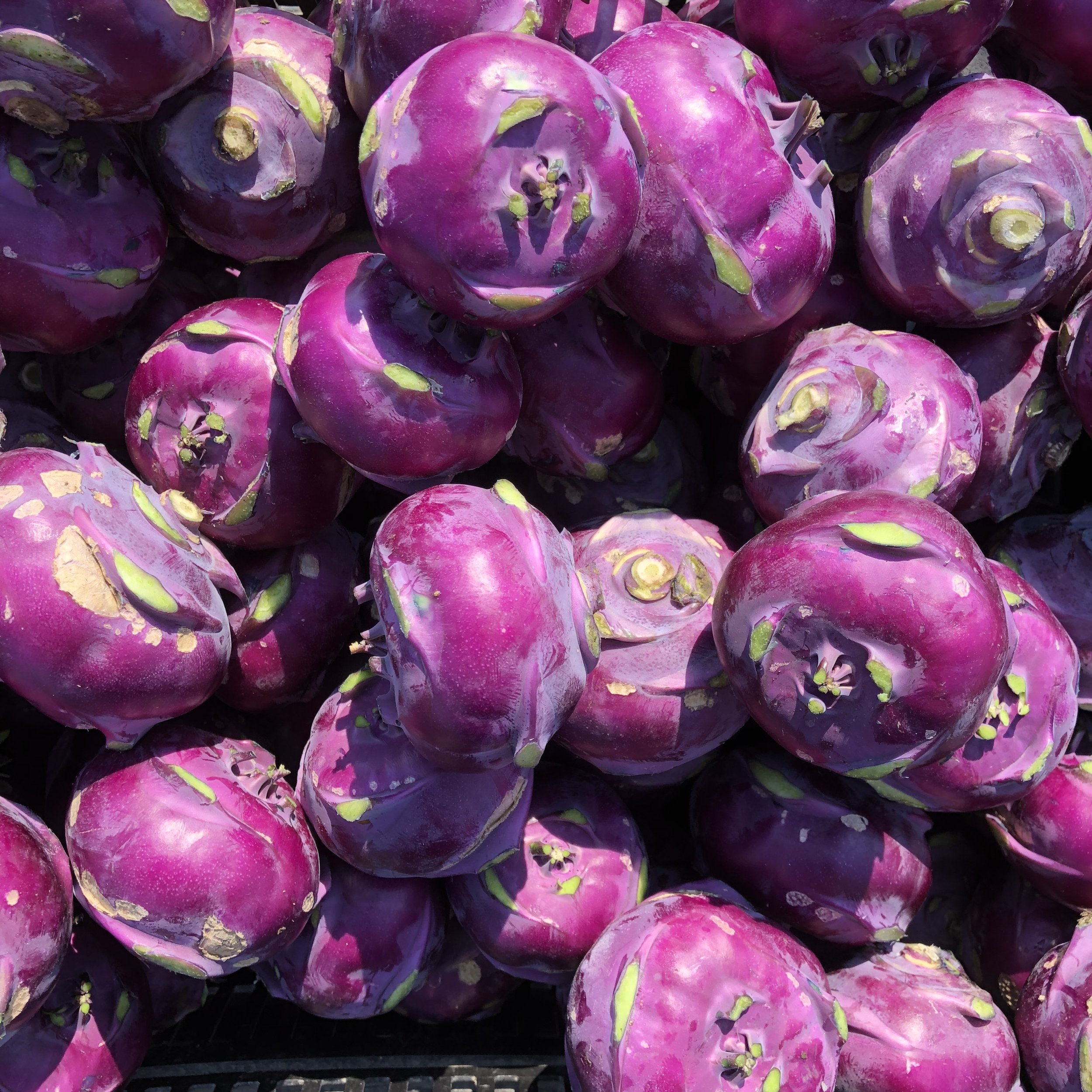 Kohlrabi.JPG