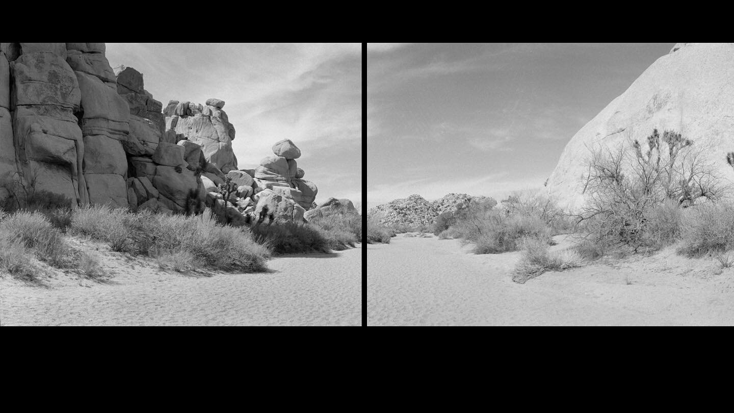 Wonder Rocks Diptych | Renee Torres 

108&quot; W x 43.3 &quot; H
Edition of 25
Archival Pigment Print on Moab Entrada Rag Paper 

This photo was shot at the Wonder Rocks Trail in Joshua Tree National Park, CA. 

Please shoot us a DM if you have any 