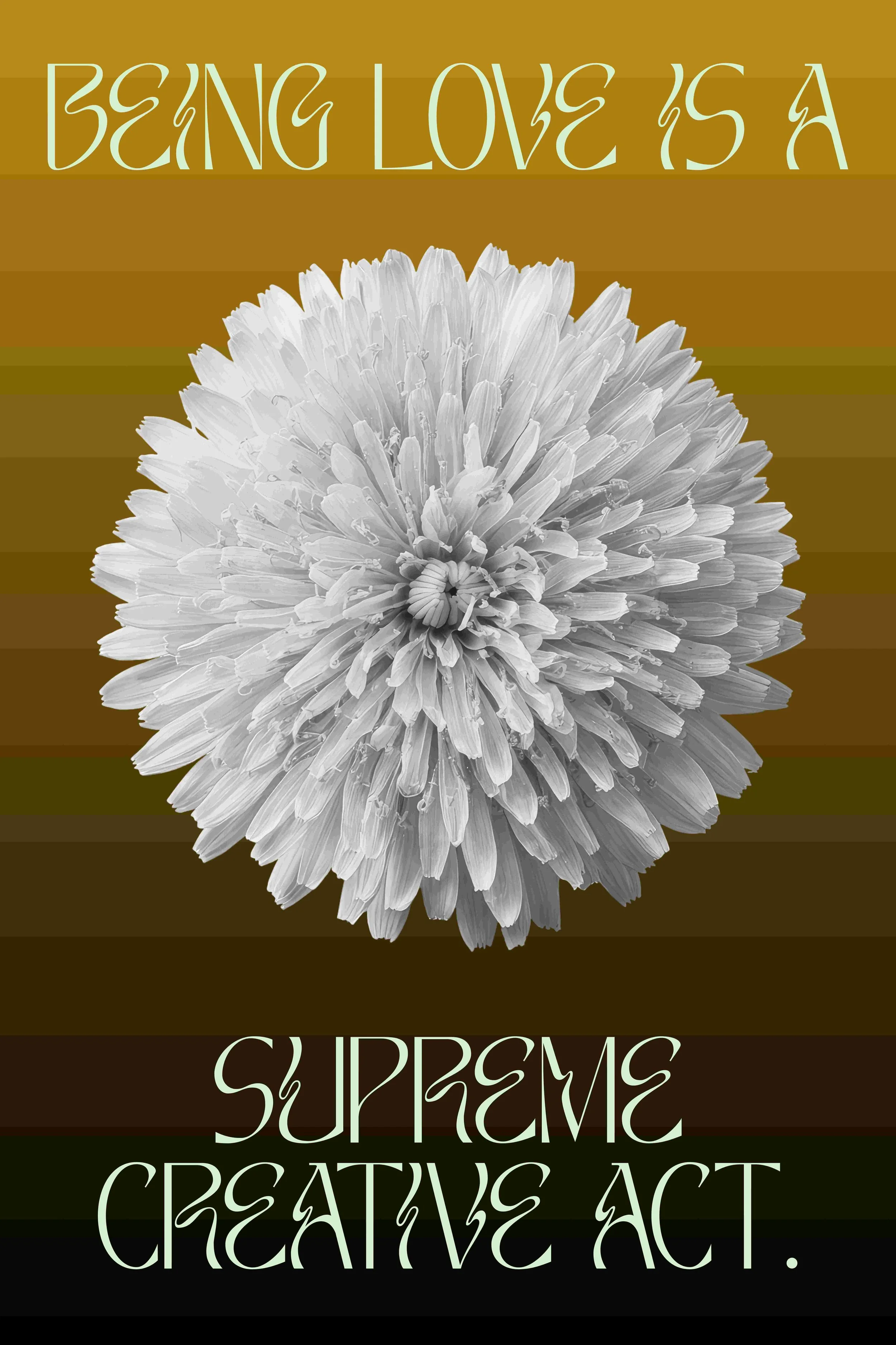 Being Love - Ochre (1) web.jpg