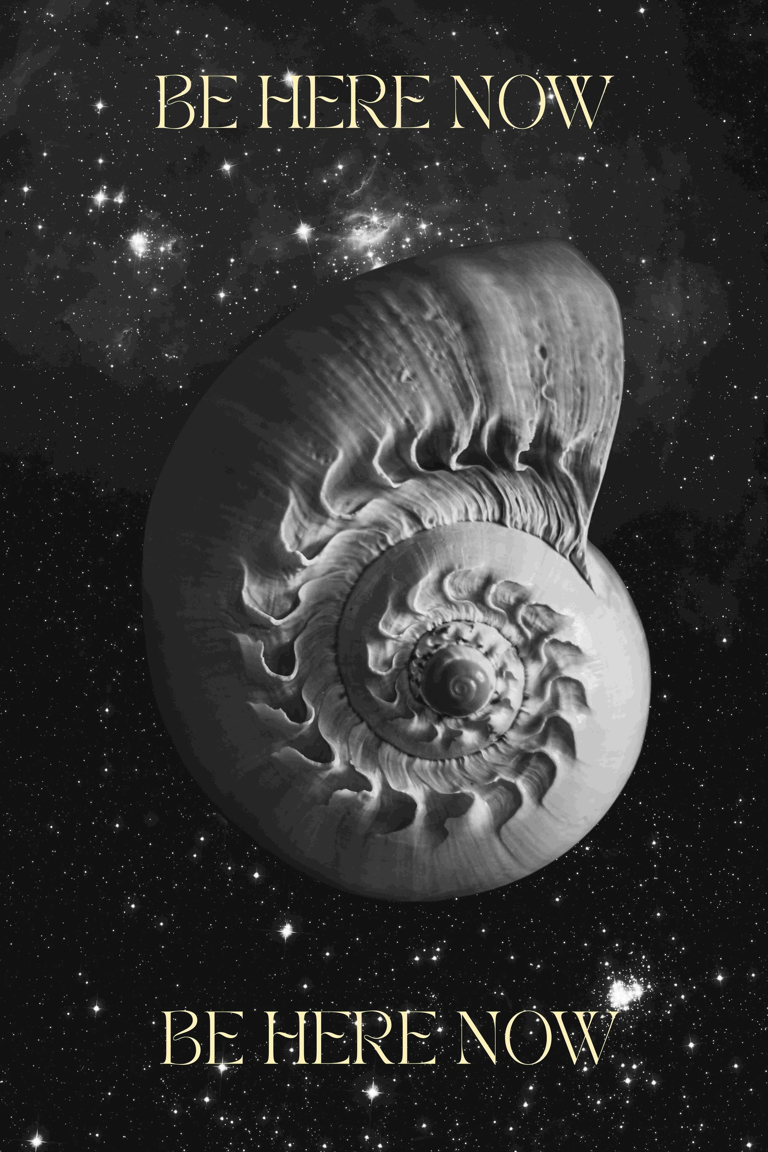 Be Here Now - Shell wb version.jpg