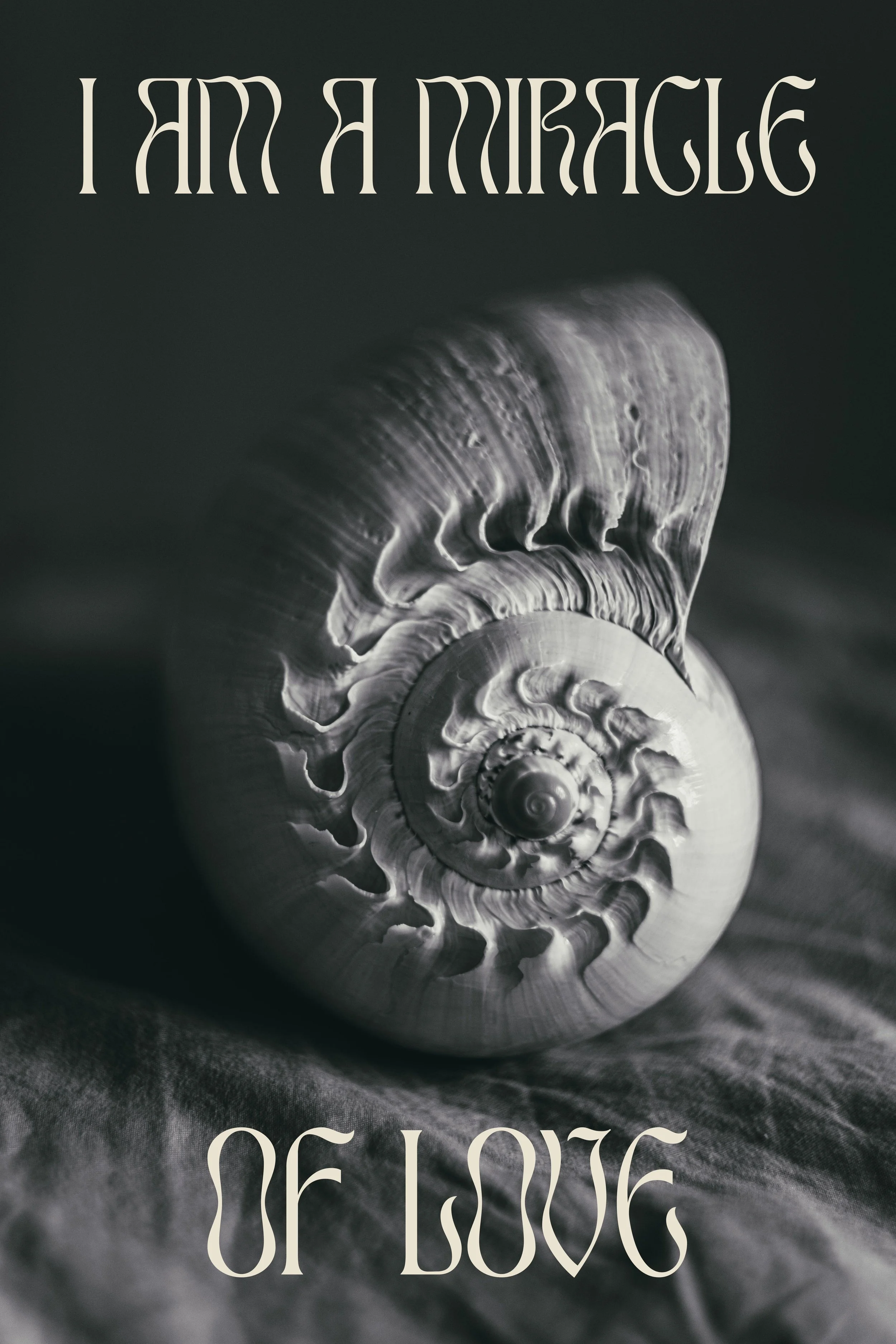 miracleoflove_shellwebversion.jpg