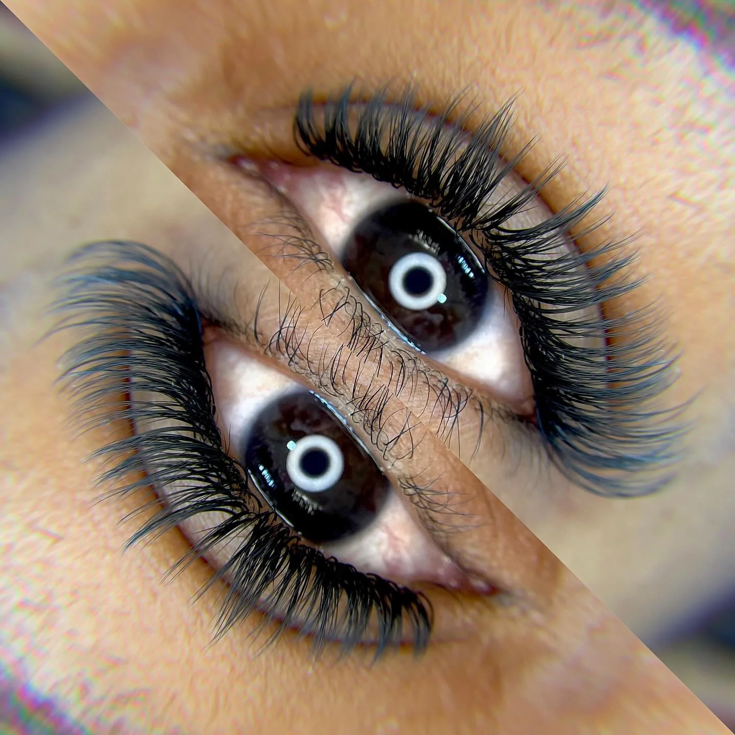 We loveeeee texture over here 🥰

#lashes #lashextensions #lashlife #lashgoals #lashartist #yxelashes #lashtech #yxelashtech #texturedlashes #luxeclassic #classiclashes #lashboss
