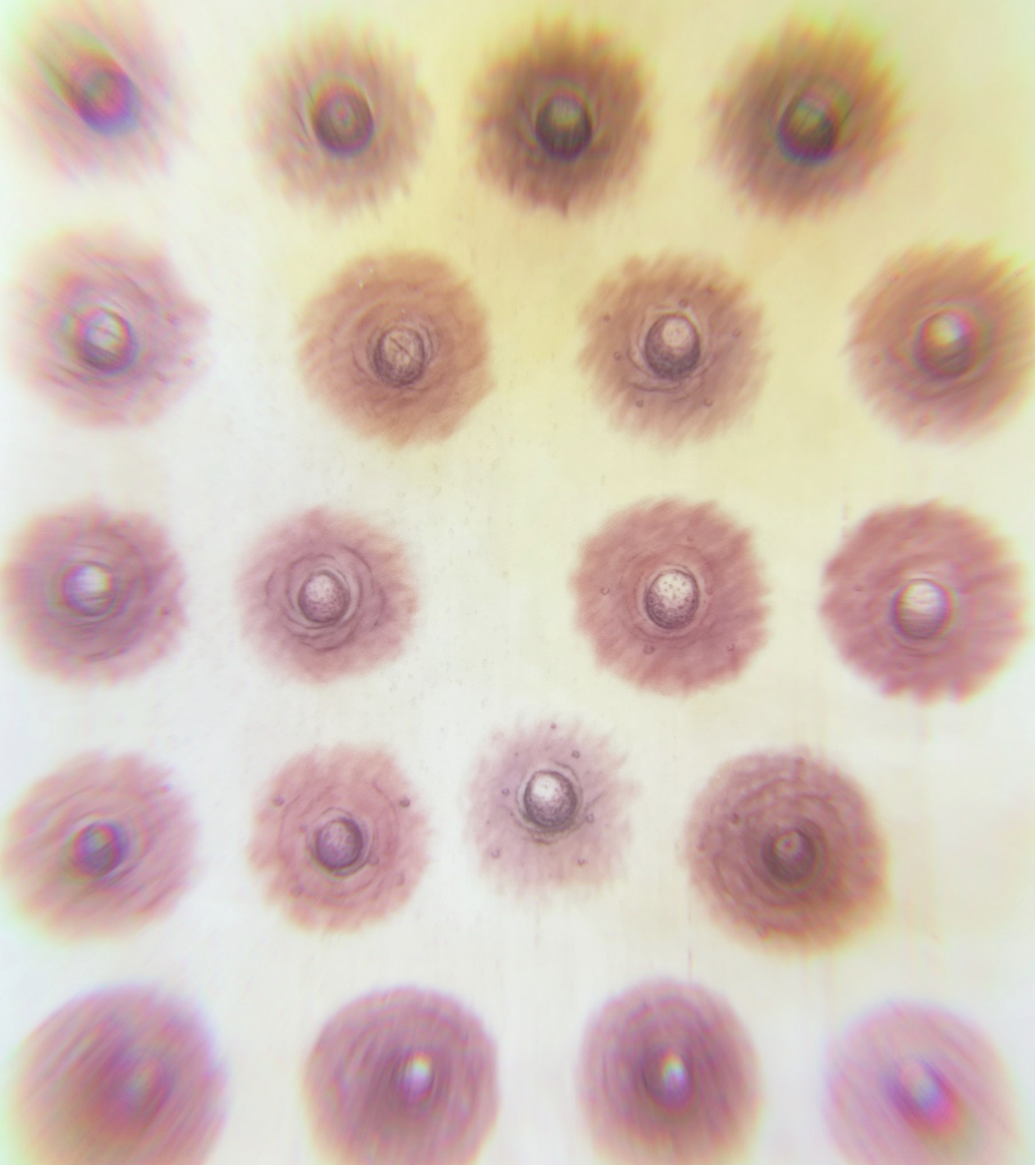 The Paramedical Areola Tattooing Journey: What to Expect from Start to Finish