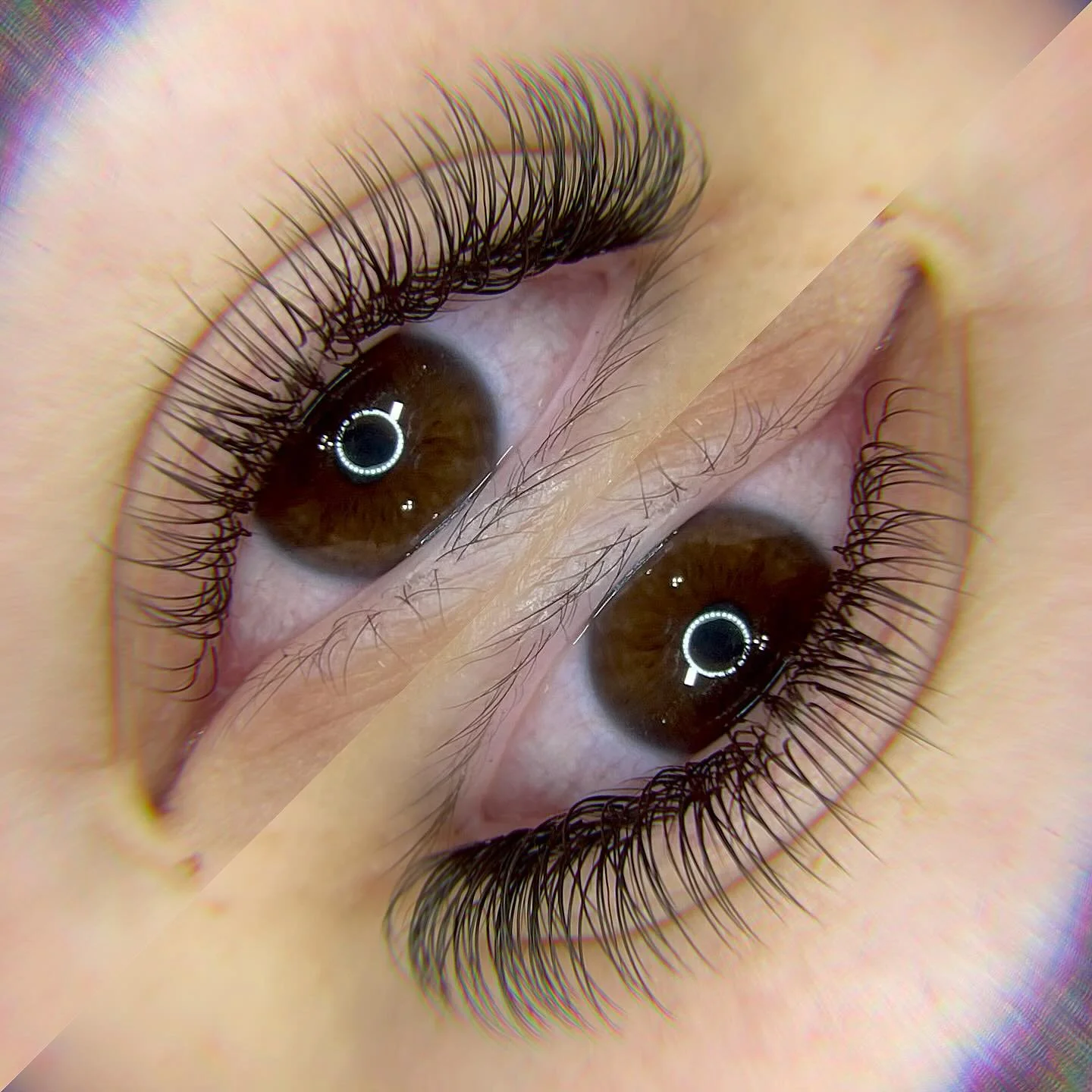 Classics always stand the test of time 💜

#lashes #lashextensions #lashartist #lashtech #lashproducts #lashlife #lashgoals #yxelashes #yxelashtech #lashboss