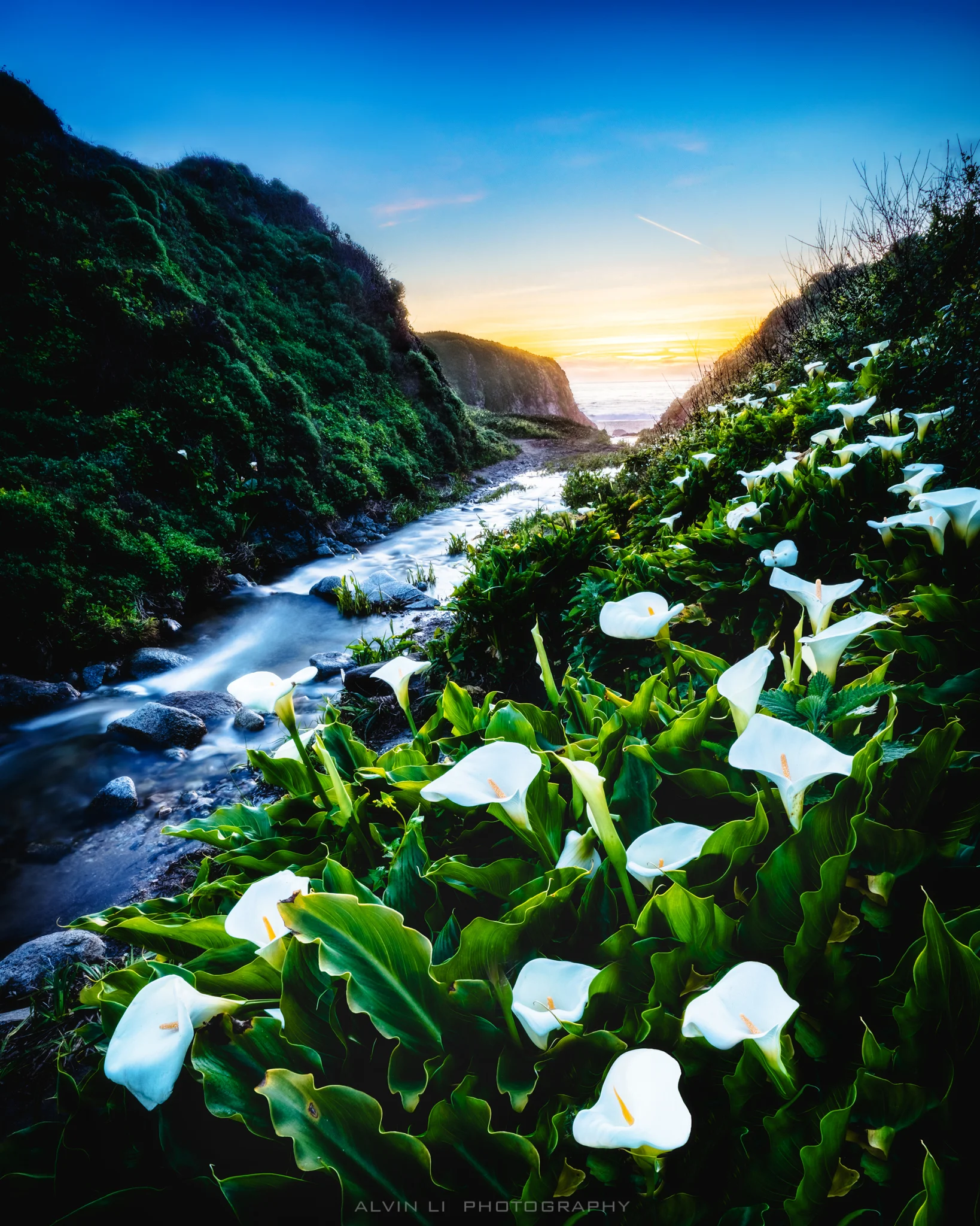 DSC06602-HDR-Edit 2-webusage.jpg