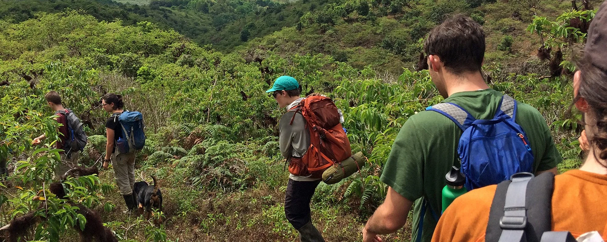 WS Book Your Own Ticket IMG_5604_ed_sm.jpg