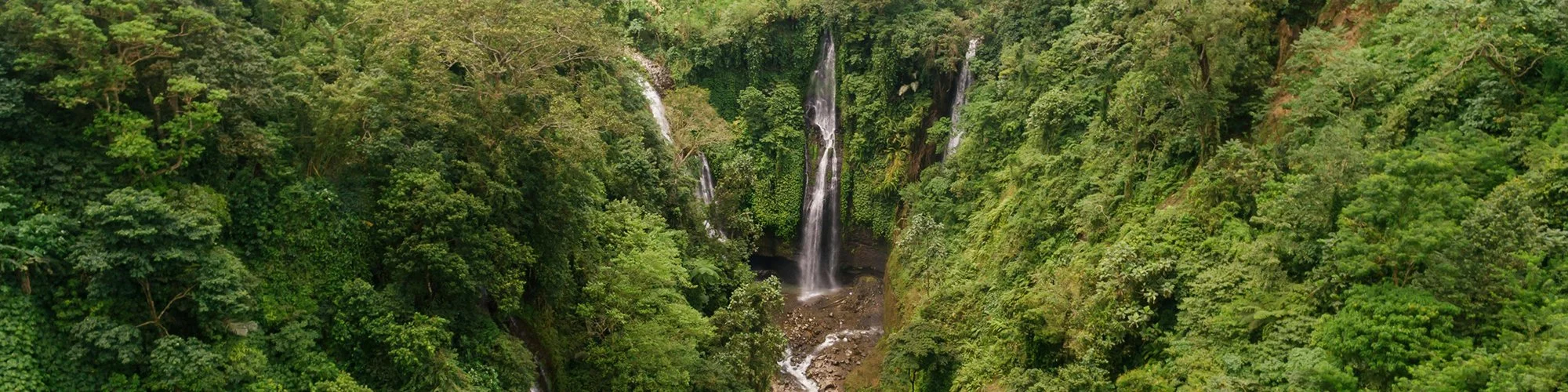 WS Indonesia Slice rainforest pexels-mikhail-nilov-8332633.jpg