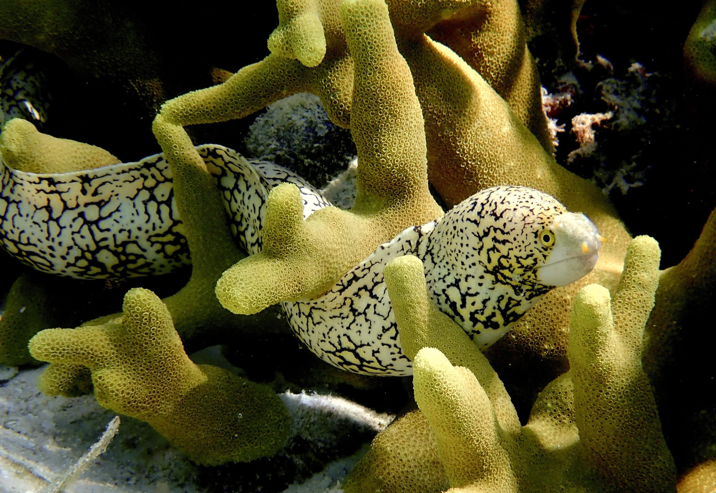 P2282579.JPG