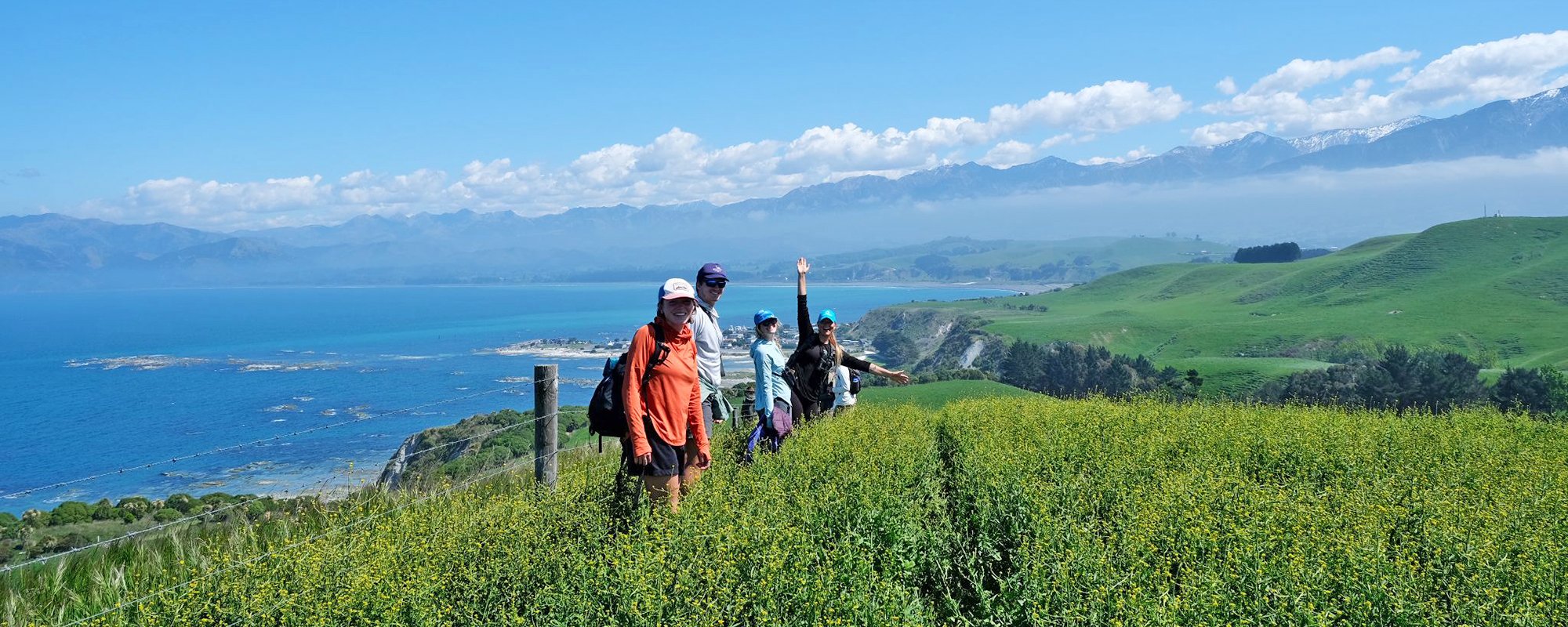 WS NZ Hikers with Ocean View Main Page Top 2024-10-24-00-08-09.jpg