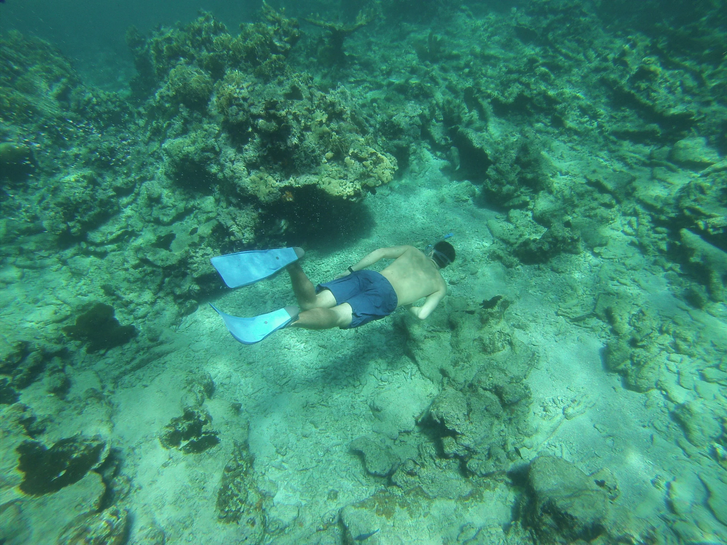 Belize snorkel.JPG