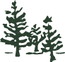 WildlandsStudies_Website_Select-38.png