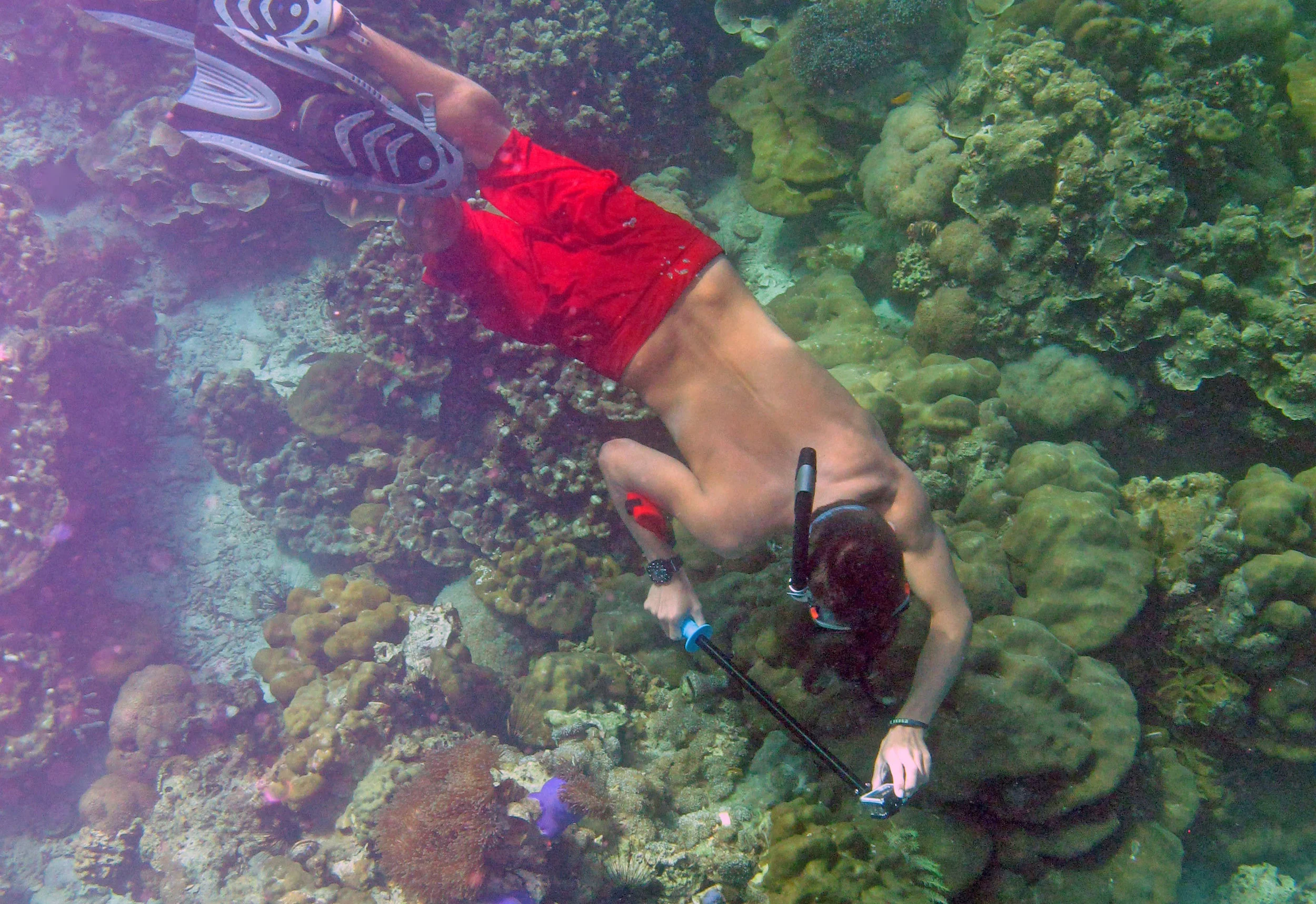 WS Thailand Measuring Coral Heads.jpg