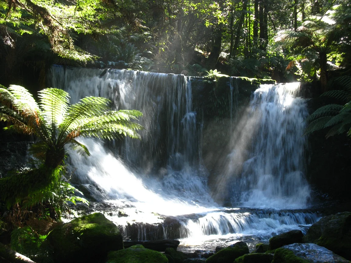 Tasmania waterfall into pool.jpg