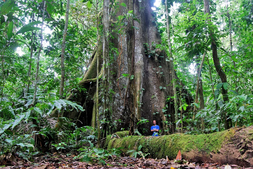 Ecuador — Wildlands Studies