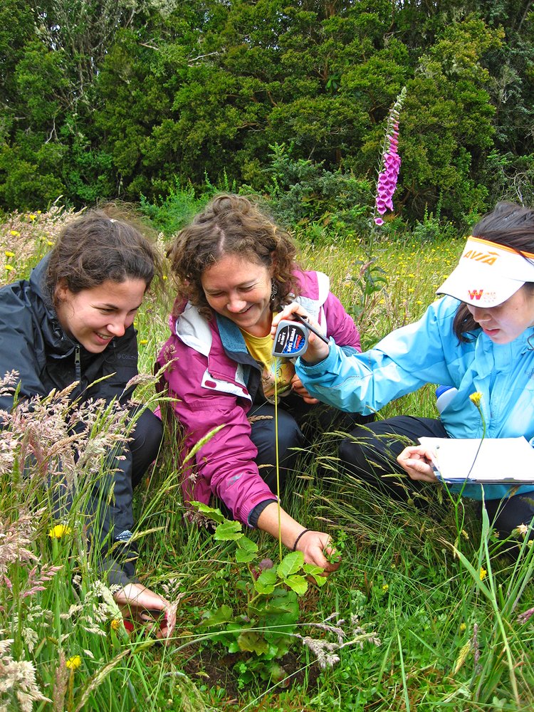 Chile Field Studies: Patagonia Ecosystems — Wildlands Studies | Field ...