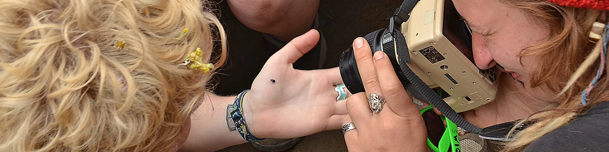 WS Nepal slice bug and camera DSC_6256 copy.jpg