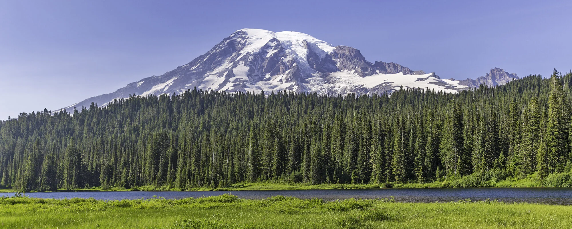 More Details Top.jpg