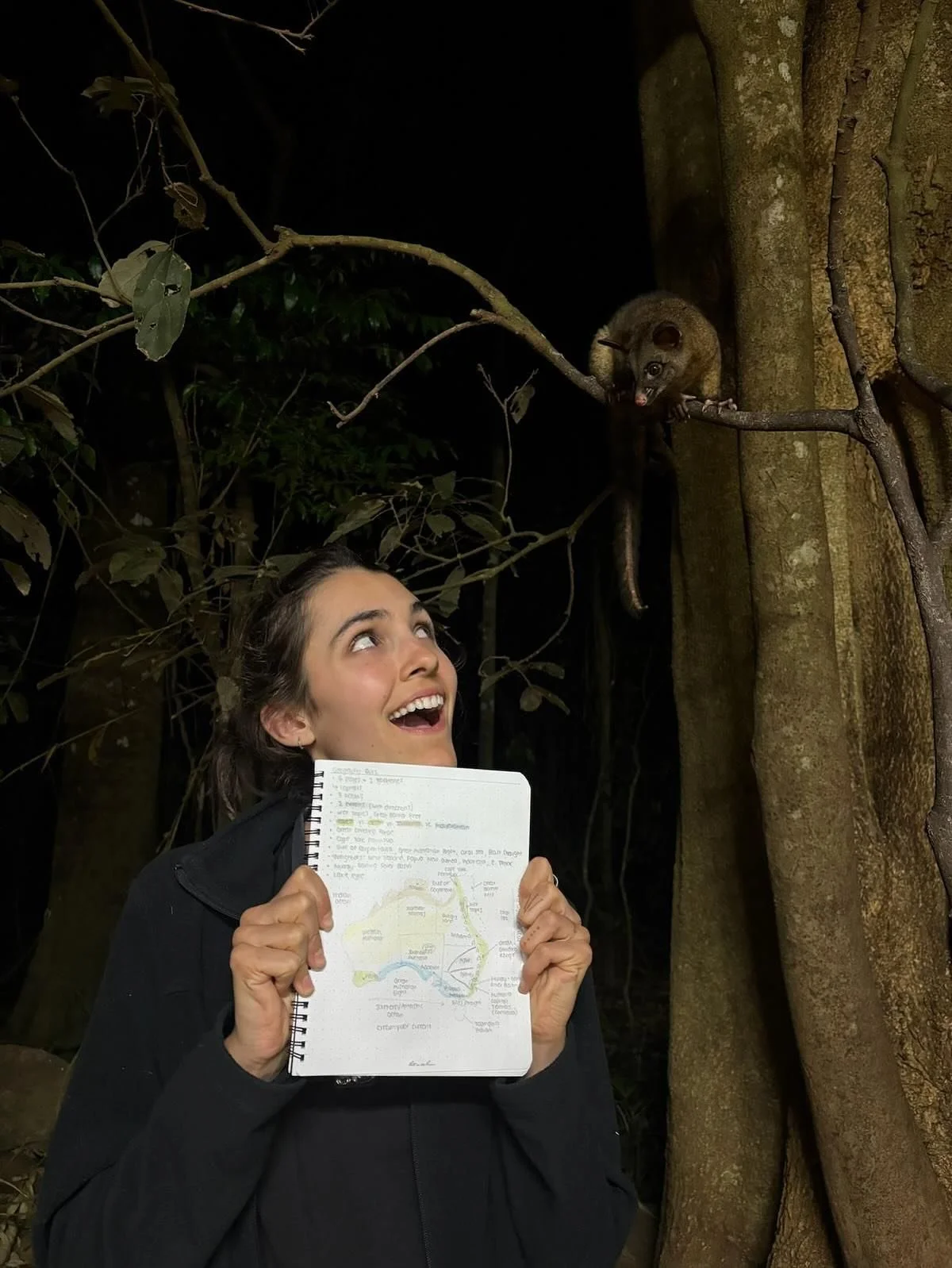 Our Australia team has settled into field life and just moved to the Atherton Tablelands, a region known for itsvolcanic soils, vibrant agriculture, and towering strangler fig trees. 

This week brought some amazing moments: multiple sightings of a p