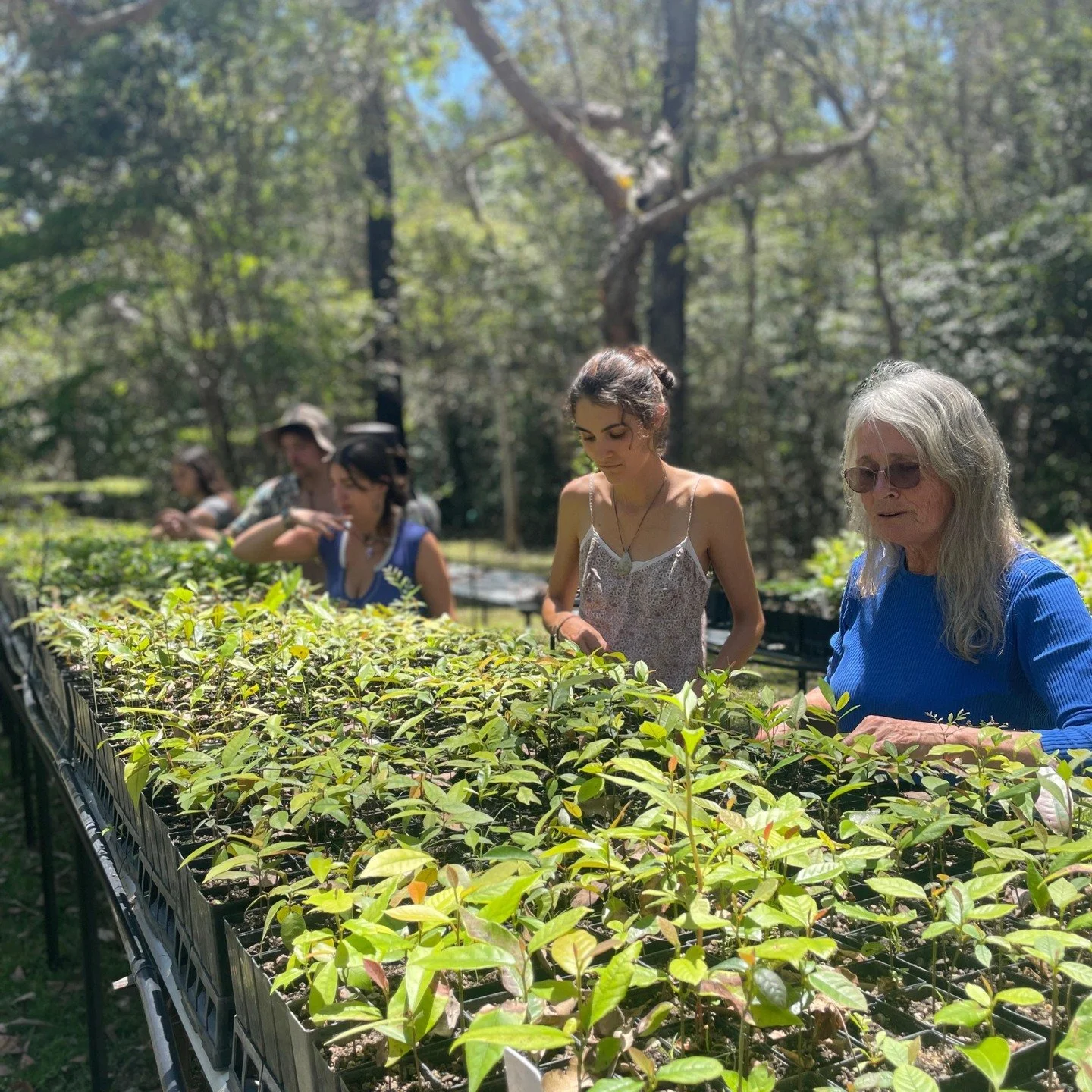 Here are a few more photos from our Australia program this Fall &mdash; a final look back at field days along the coast Cairns, wildlife surveys, hikes, snorkels, beach lectures, epic Halloween costumes, and an unforgettable season of learning in one