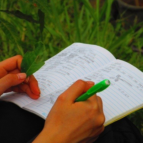 Field learning starts with the basics. A notebook. A pencil. Real observations.

With Wildlands Studies that means taking notes the old-school way: pencil, paper, and a view you can&rsquo;t get in a classroom. 

Check out our Spring and Summer progra