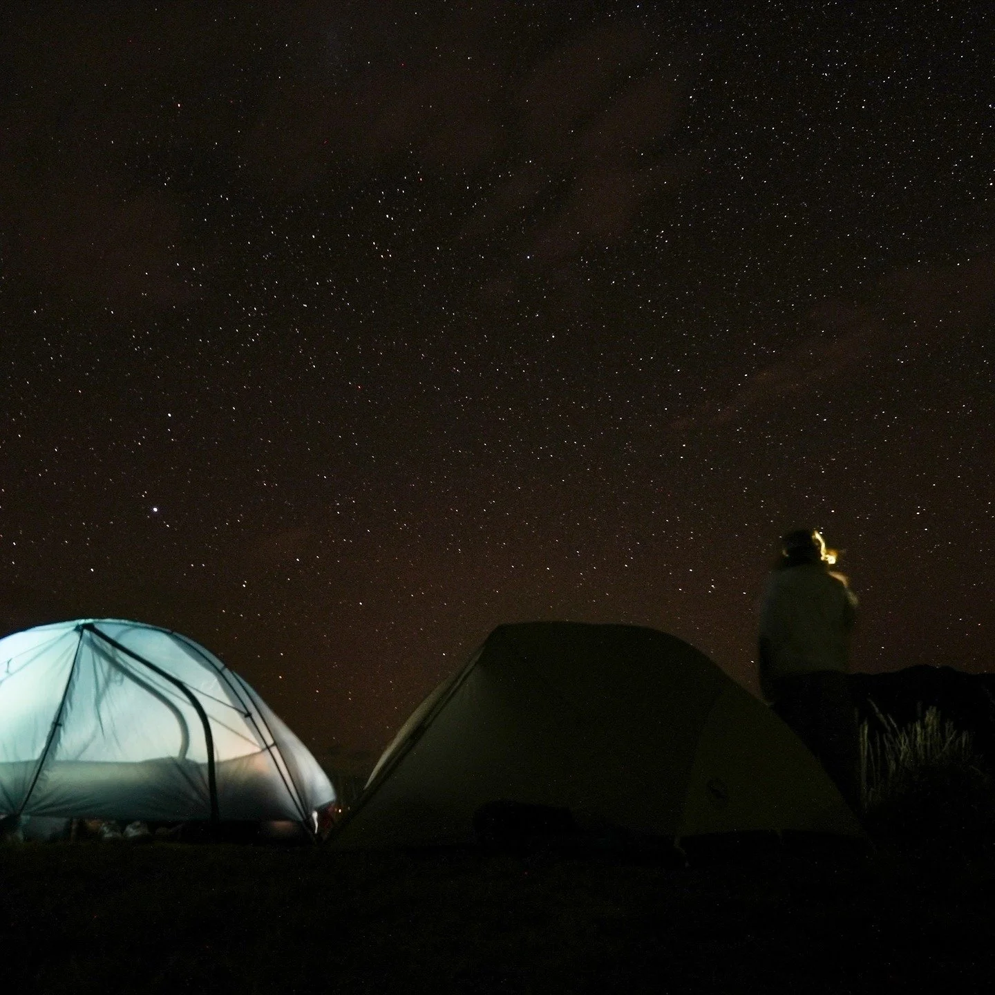 Nights like this are part of the curriculum. 

Study conservation where the classroom is the field and the ceiling is the sky.

Learn more at wildlandsstudies.com