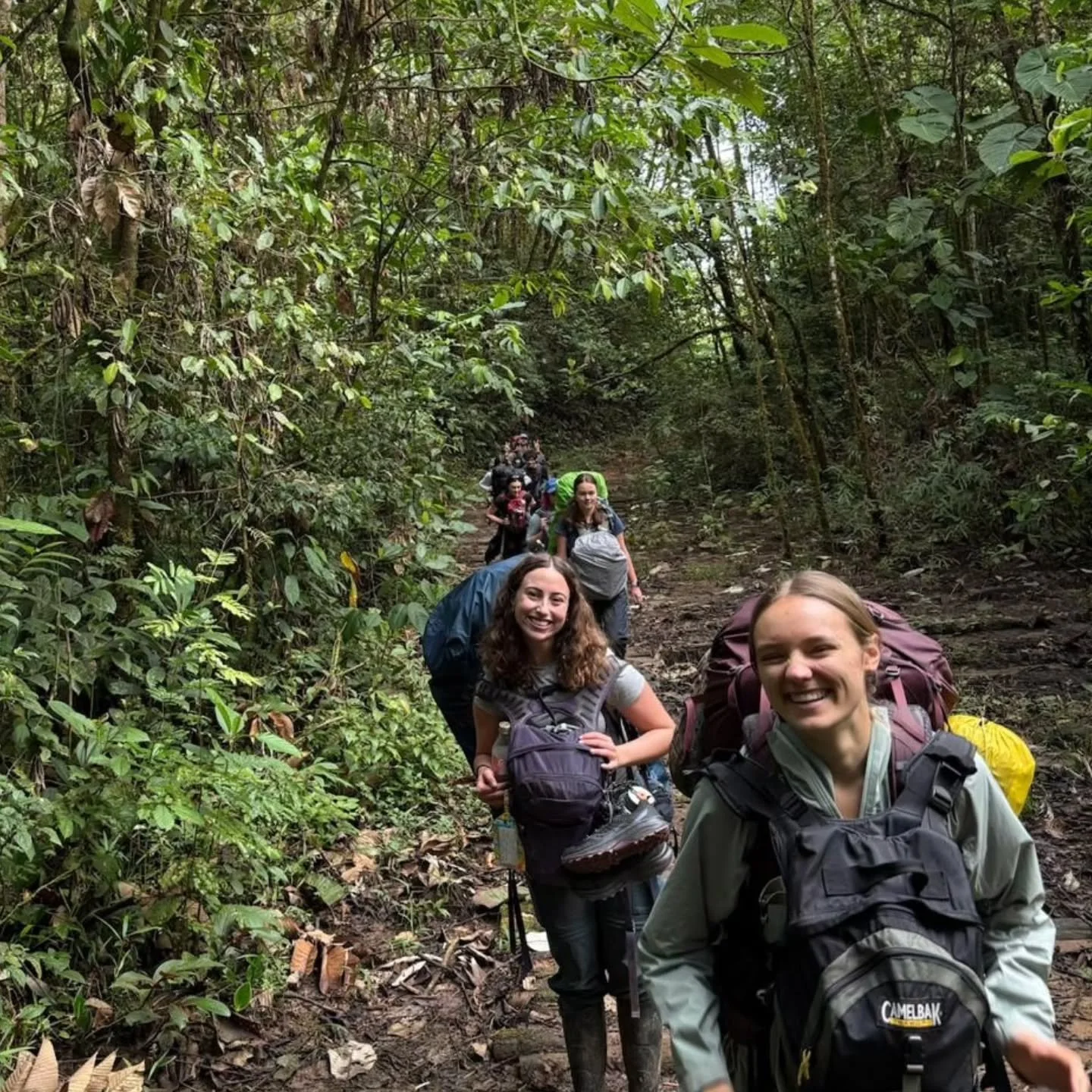 Our students in Ecuador have been busy deep in the Amazon basin. Here's a look at some activities and critters they've seen this past week!