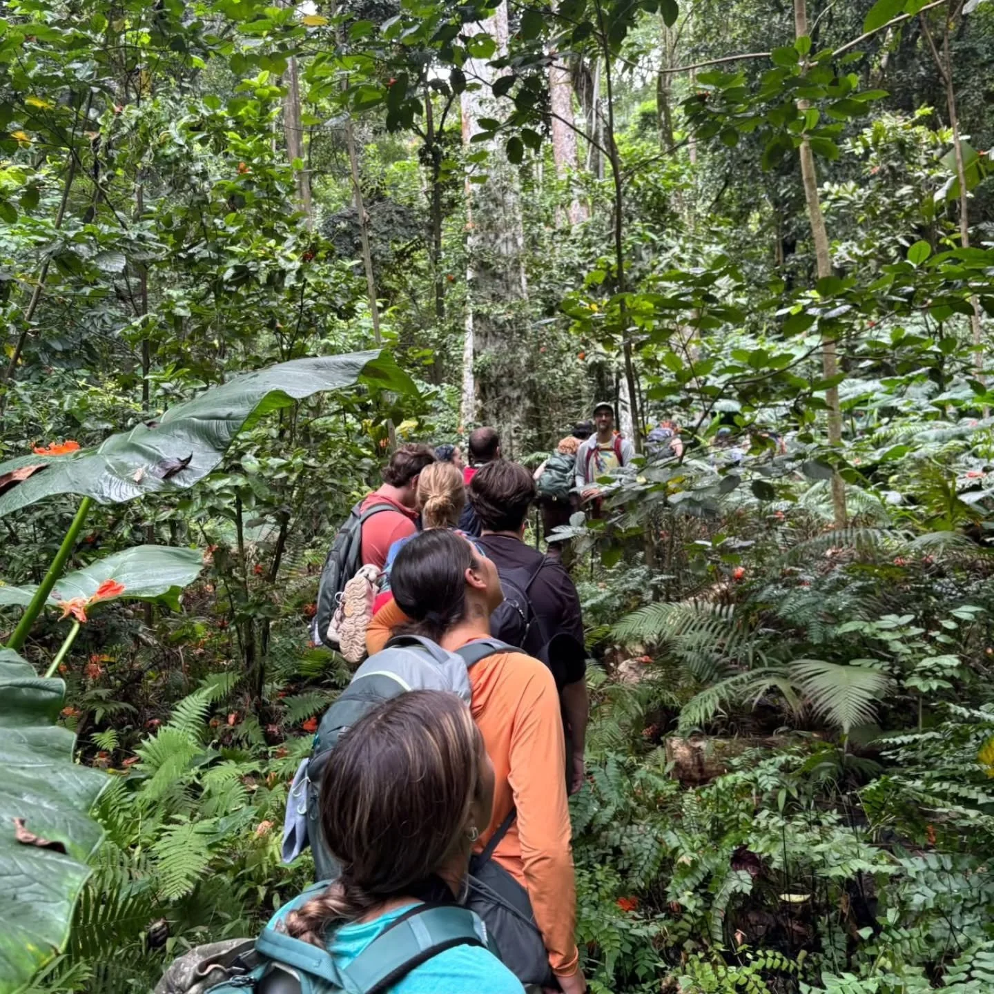 One final space has just opened on our French Polynesia program this summer!

Join us in Moorea and Tahiti to explore coral reef ecosystems, climate change, and the relationships between Polynesian communities and their environment.

If you&rsquo;ve 