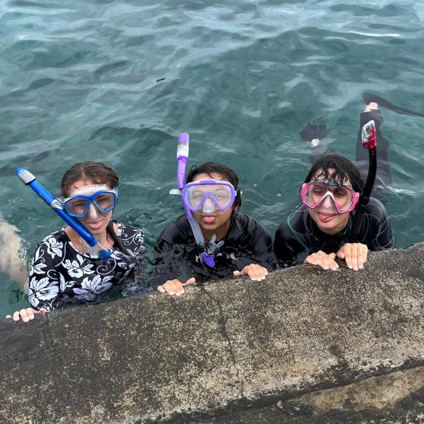 A few final spots remain in Japan this fall! 

Spend six weeks tracing the length of the archipelago from Hokkaido to Okinawa, studying how cold-temperate seas, the Tsushima and Kuroshio currents, and subtropical reefs shape biodiversity across the f