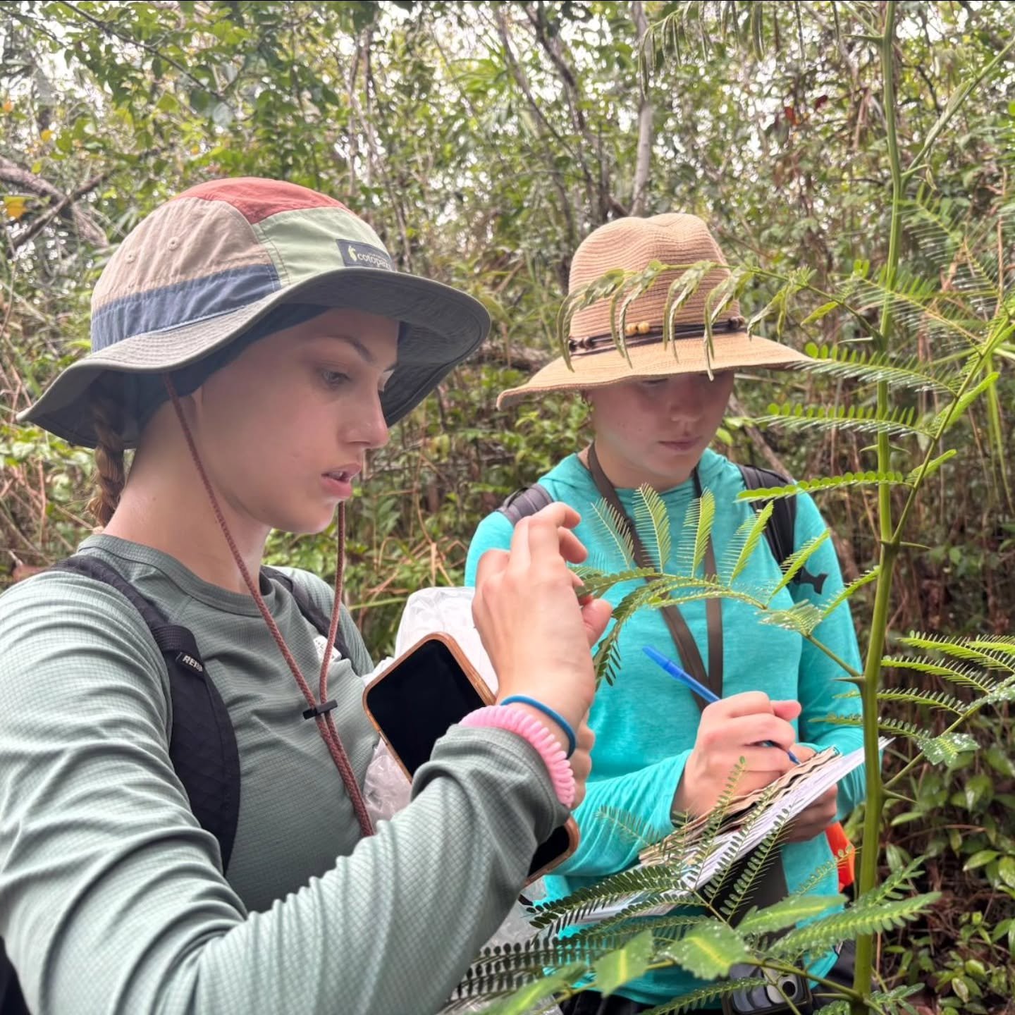 There's lots of ways to fund a field study!&nbsp;

To help support getting our students into the field, Wildlands Studies offers two scholarships each term that can be applied to any program! Talk with your academic advisor, study abroad advisor, or 