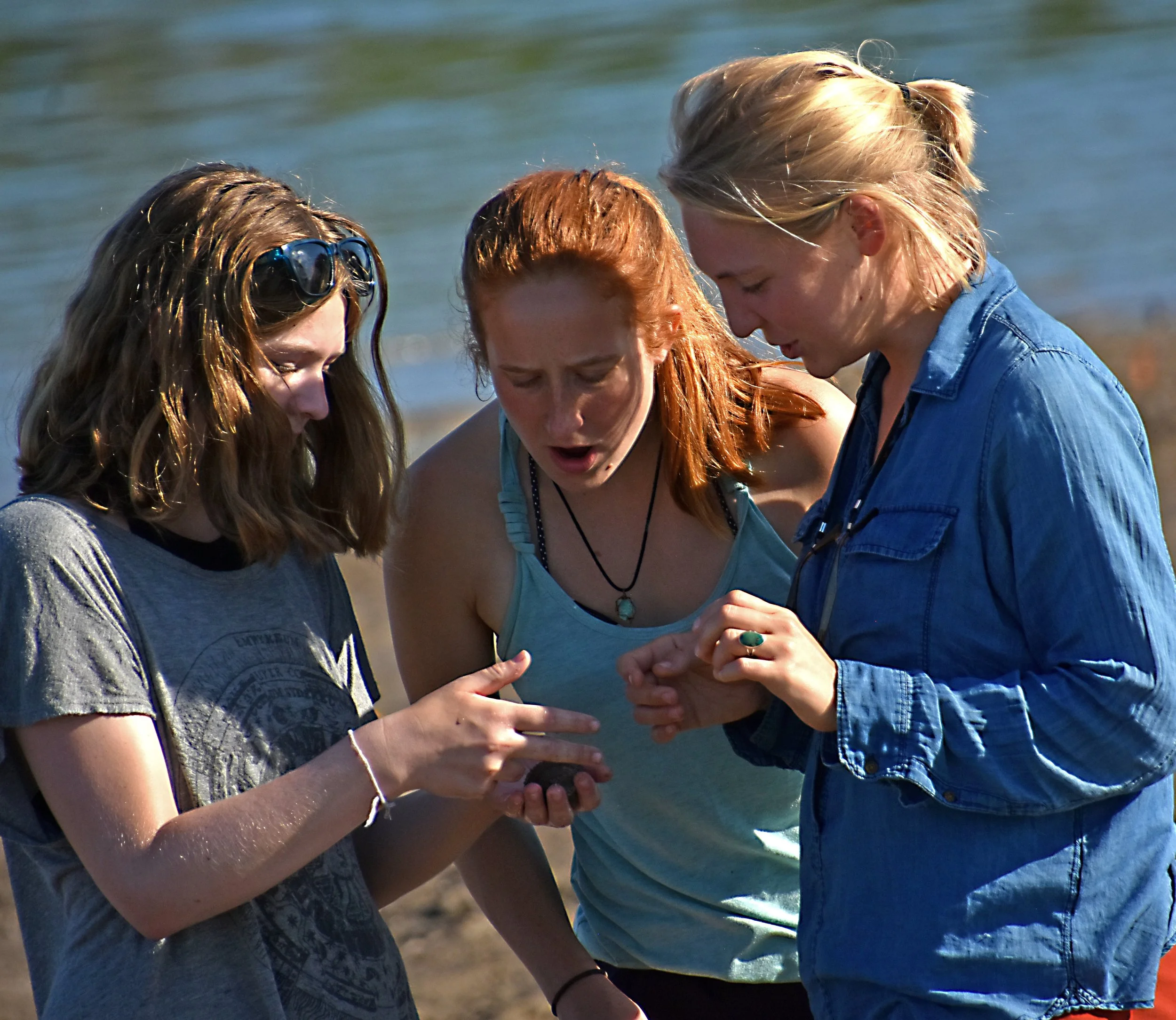 LK1_7832.JPG