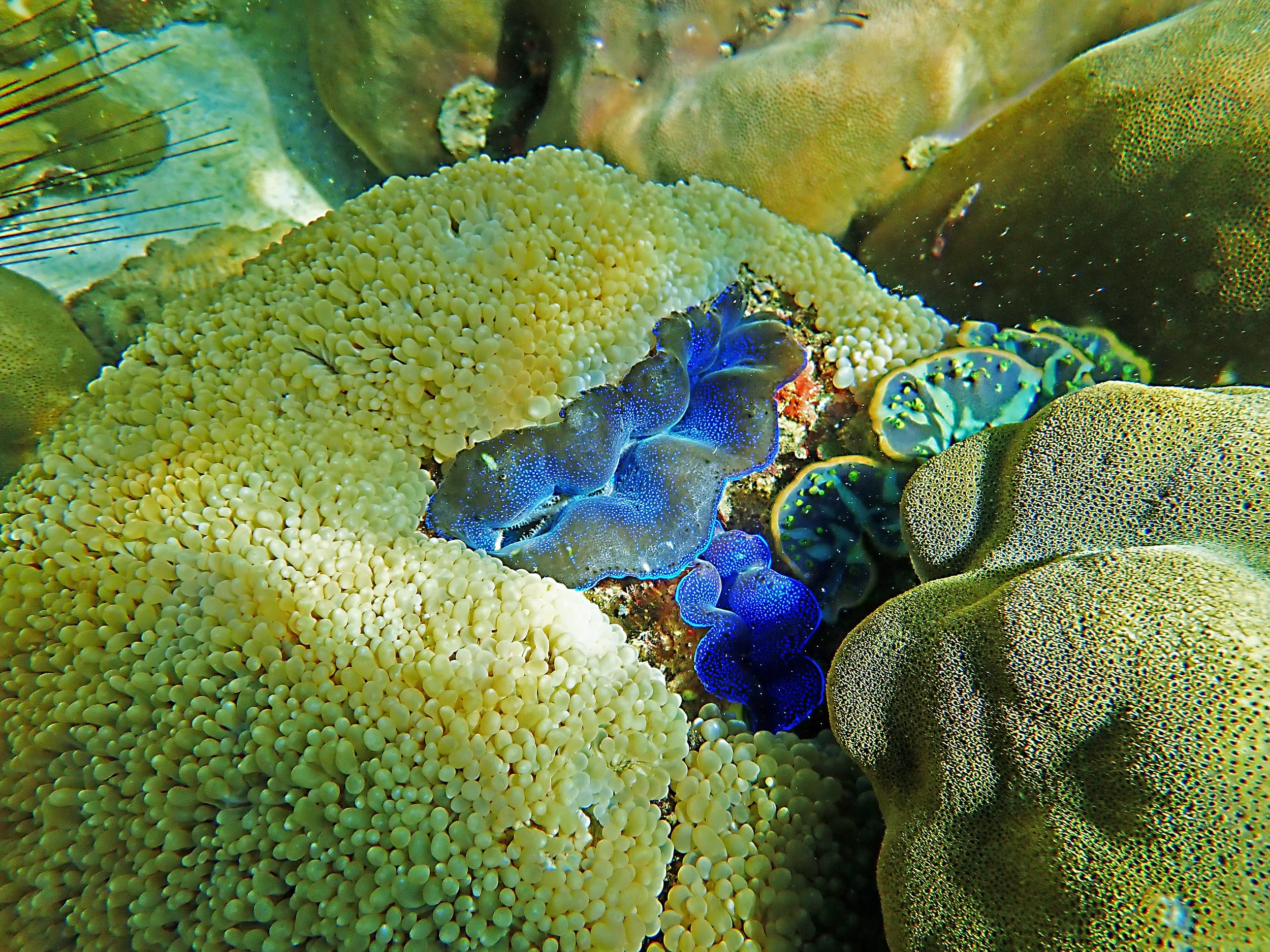 P2142745.JPG