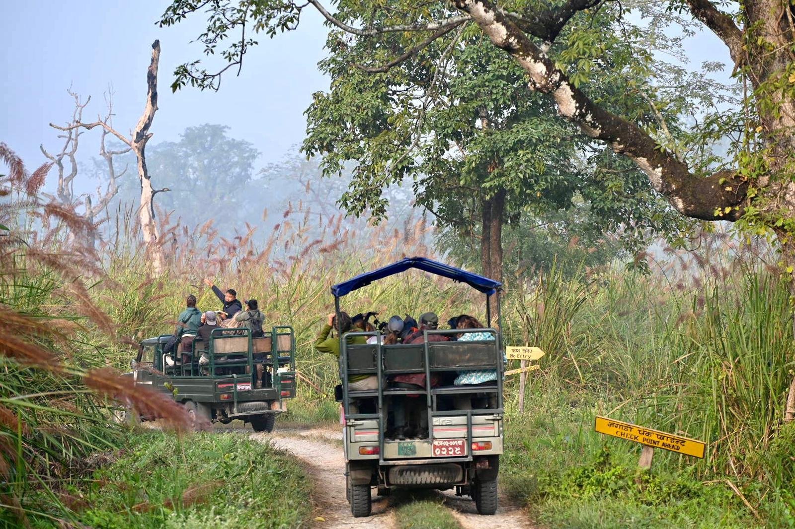 Nepalsafari3.jpeg