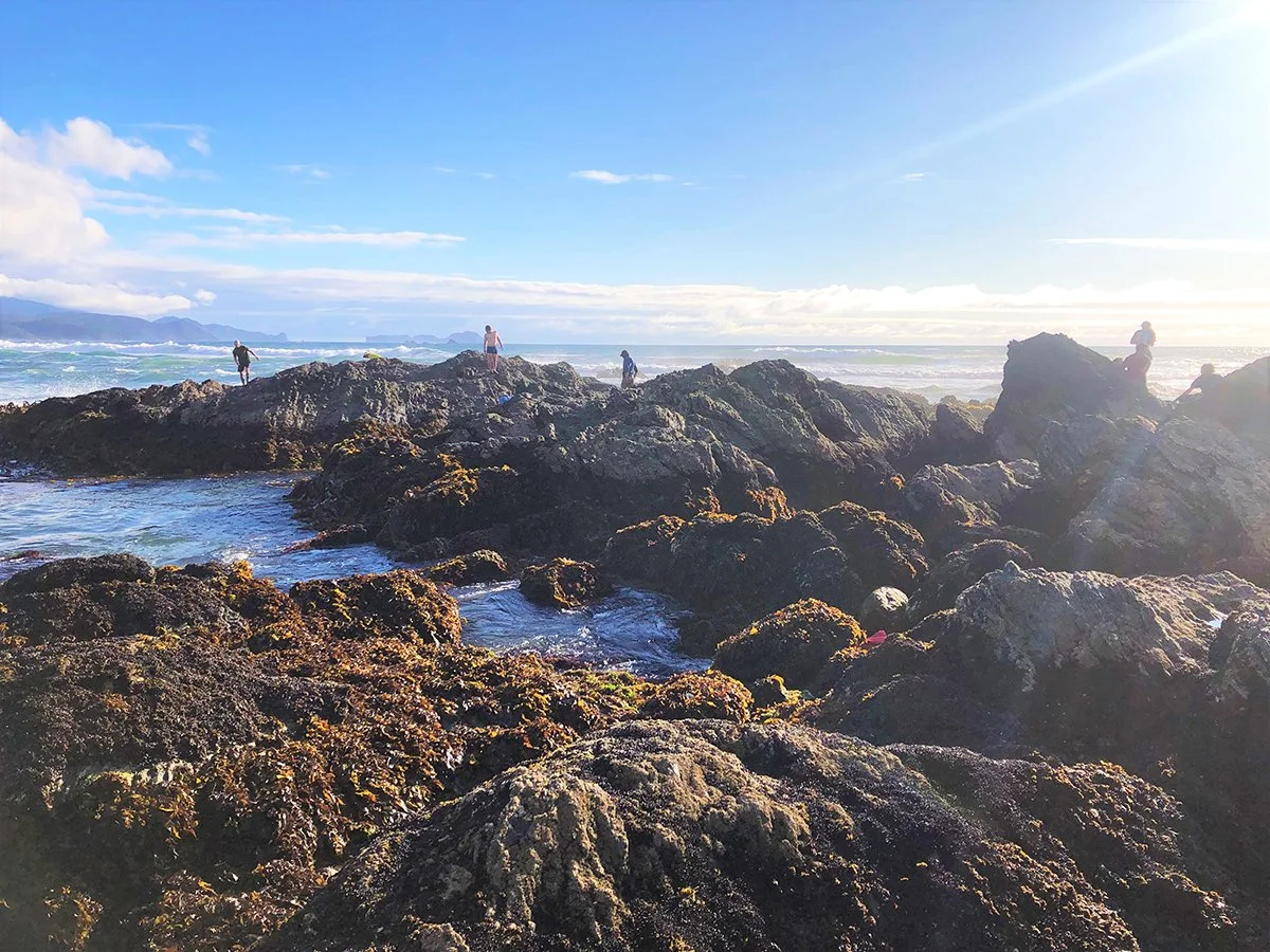 WS Chile Rockey Beach Photo Gallery Feb 24, 12 07 28 PM.jpg
