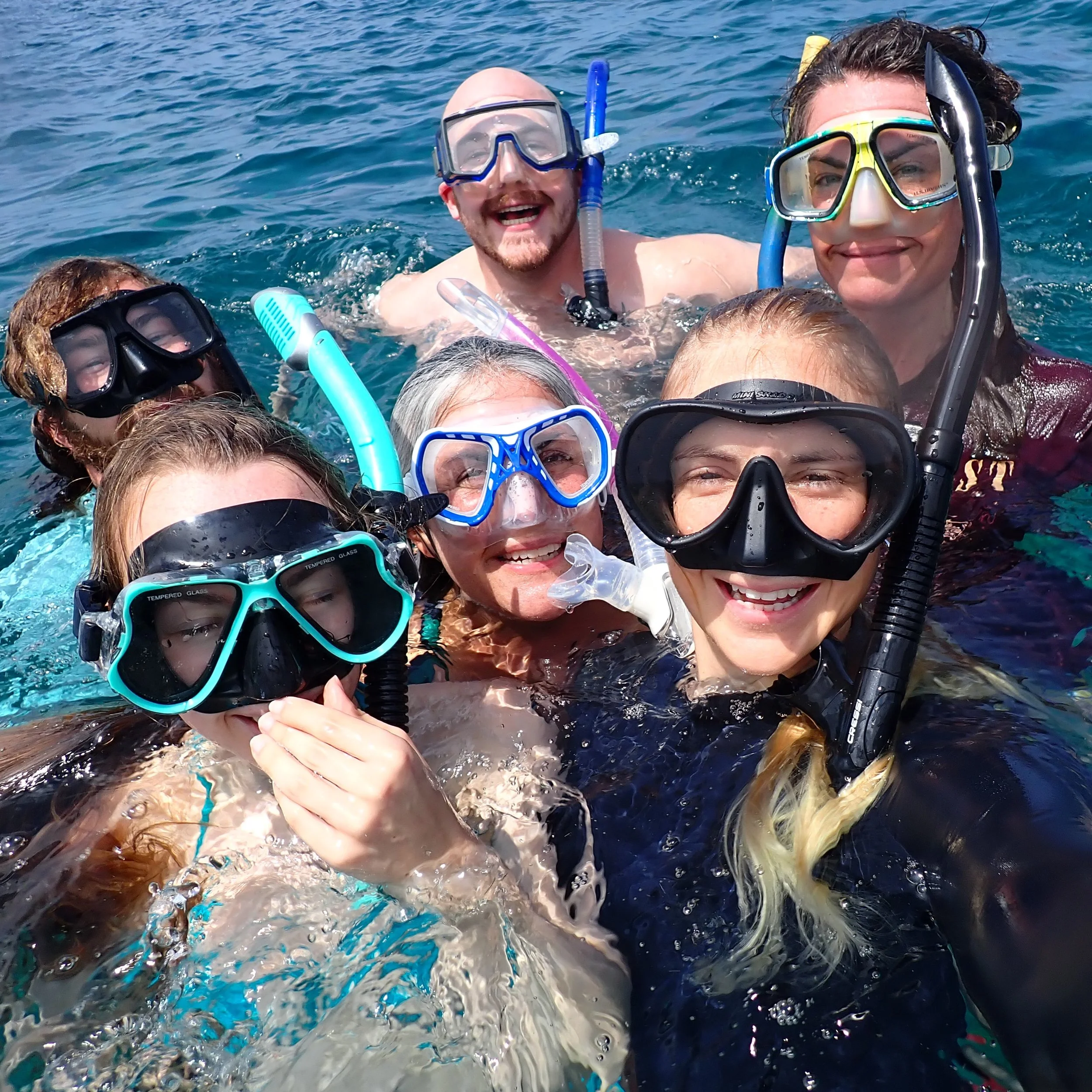 This year&rsquo;s WS office staff retreat was a beautiful reminder of the passion, dedication, and camaraderie that drives our team.

This year, our team had an extra special visit to the big island of Hawaii, where Wildlands programs have taken plac