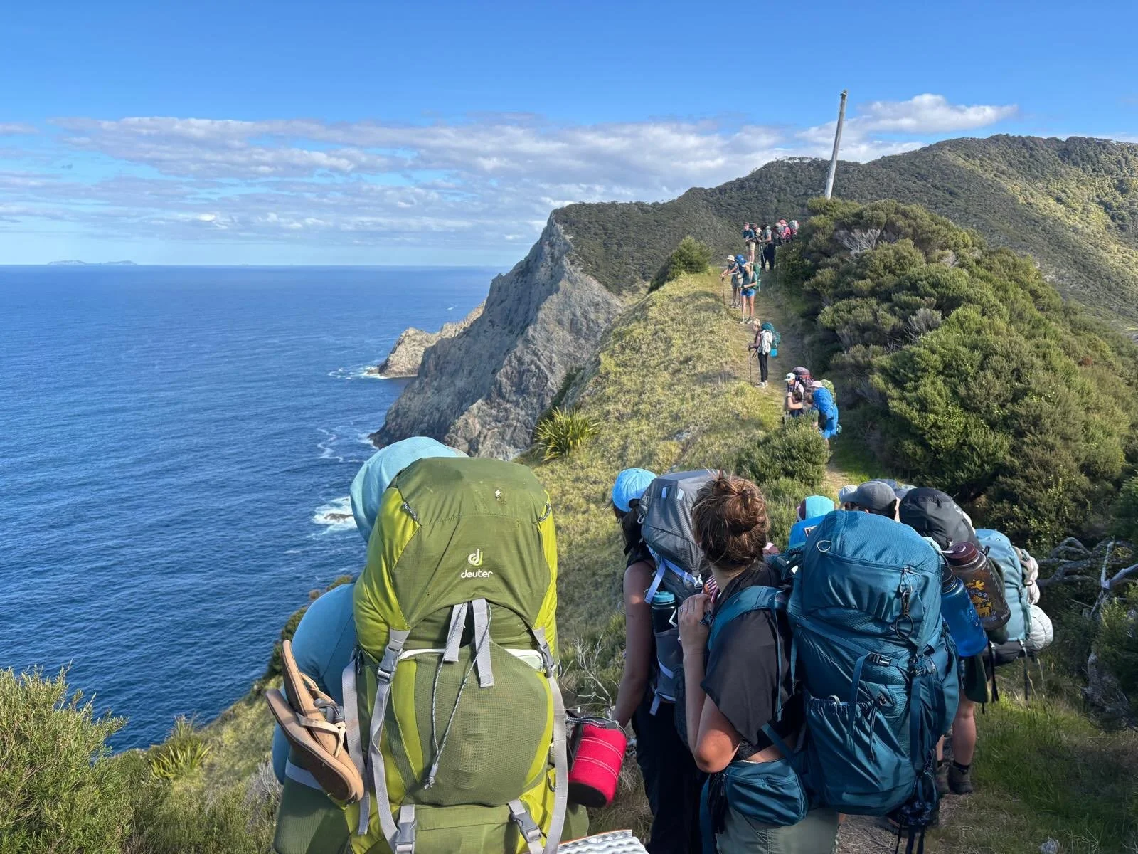 The New Zealand team is approaching their two week mark!

During the first week of the program, students were introduced to the New Zealand island biogeography, the history of the islands, and the Maori culture. They&rsquo;ve also gotten to meet an i