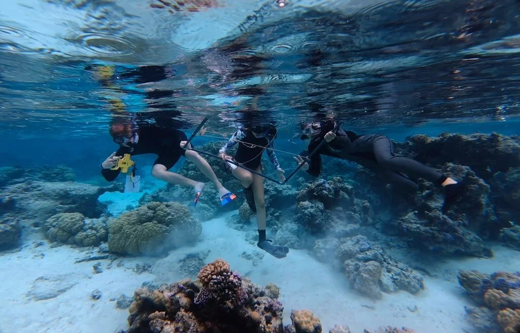 If you&rsquo;ve been thinking about joining a Wildlands Studies program, now is a great time to get your applications in!

We&rsquo;re heading to Belize, Ecuador, Thailand, and Chile this winter, and French Polynesia, Nepal, and New Zealand in the sp
