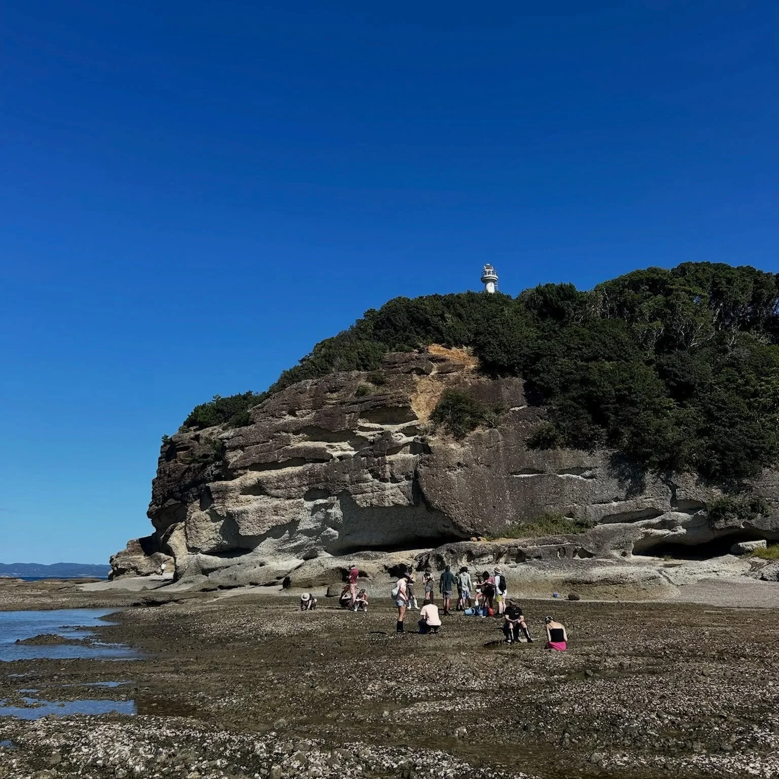 Japan Update!

We&rsquo;ve received many amazing photos from our team in Japan recently and we are so excited to share! Here&rsquo;s a look at some photos of the team from a tidepool survey, including a good look at some sea urchins.

Program applica