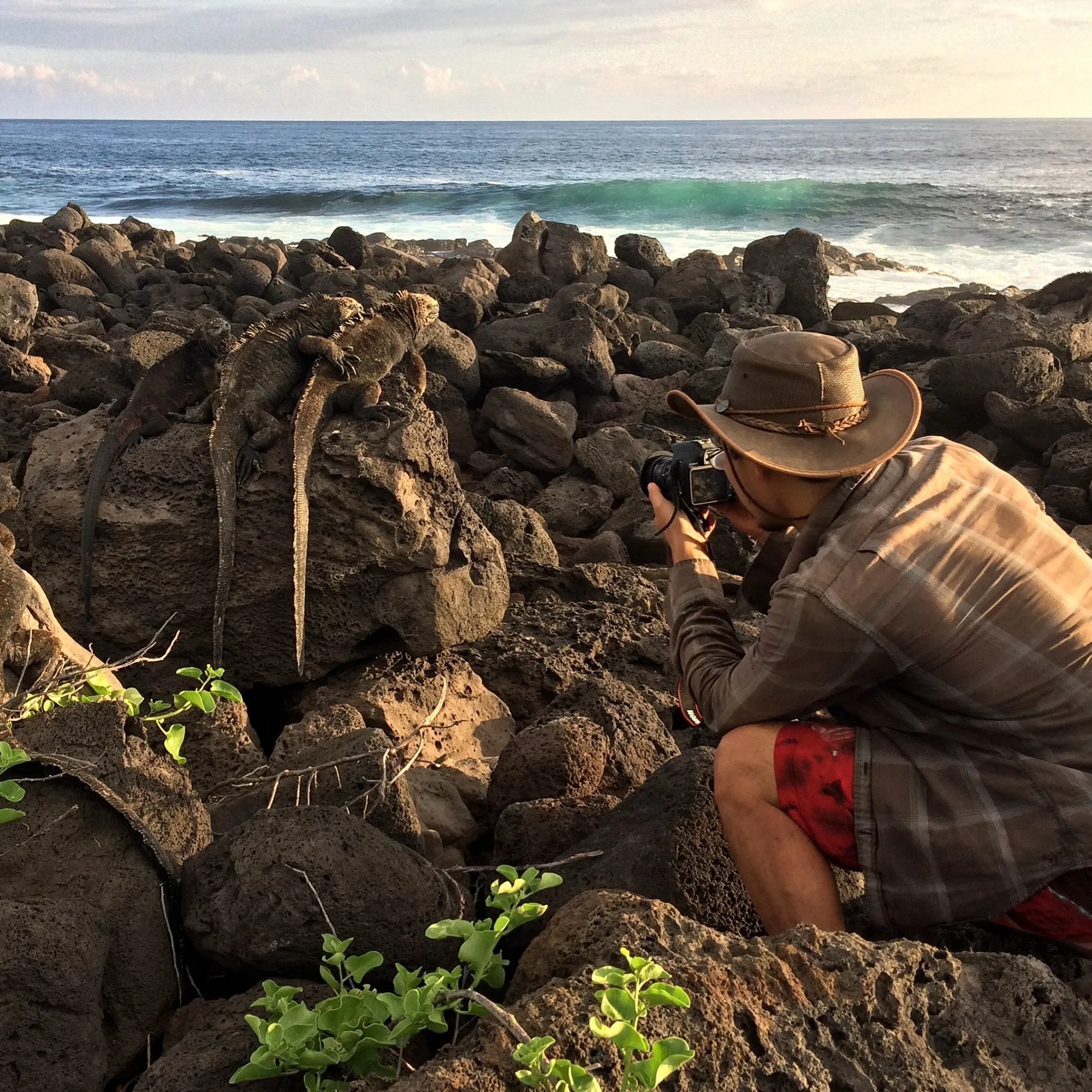 We wanted to share a thoughtful statement from a recent Ecuador alum. 

&ldquo;Wildlands Studies has, by far, been my most impactful schooling experience. Never before have I engaged so thoroughly and passionately all while enjoying the overwhelming 