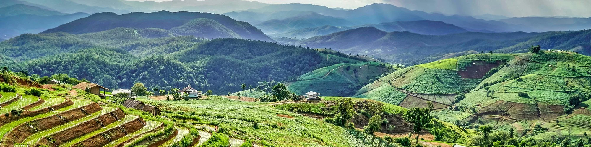 WS Thailand Slice terraced farming david-gardiner--VSZCFZ0avo-unsplash.jpg