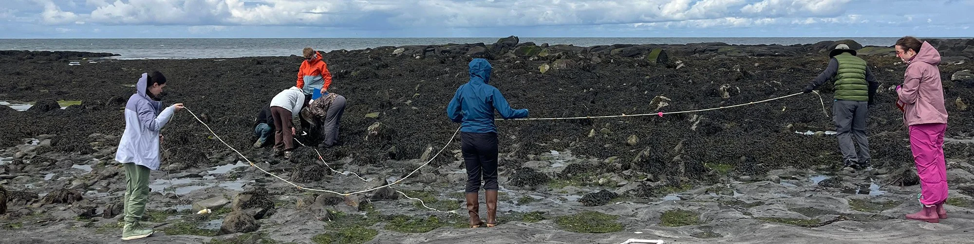 WS Iceland Beach Measuring Slice 2026-06-26 at 13.48.06.jpg