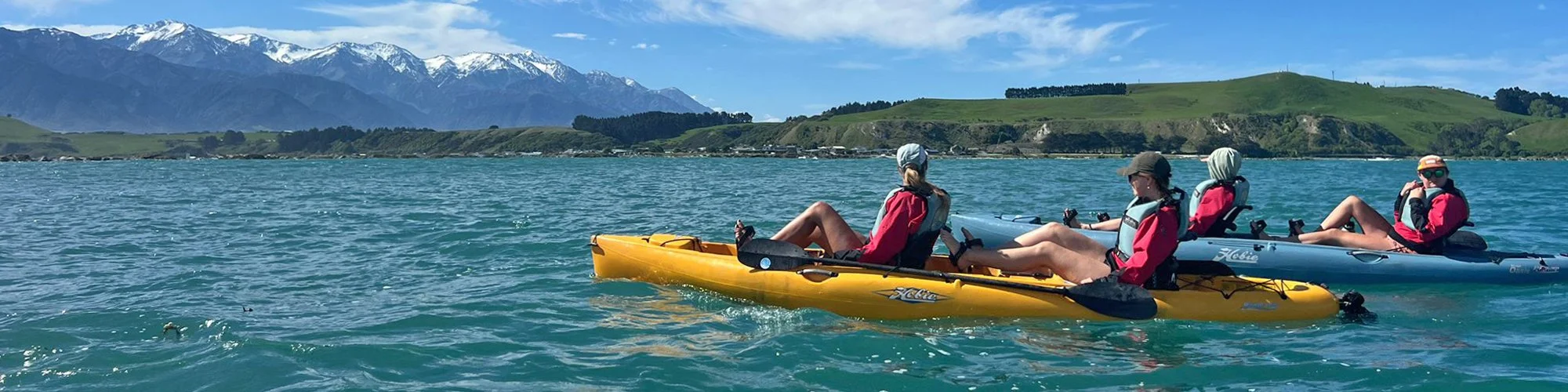 WS NZ Kayakers Slice PHOTO-2024-10-24-00-08-10 2.jpg