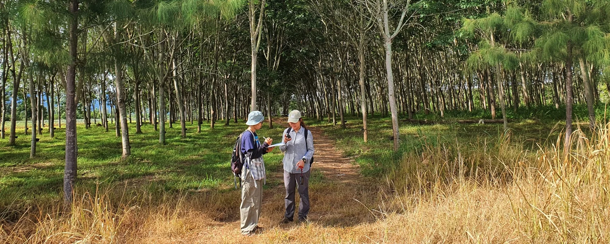 Thailand More Details Top ba561817-c115-49b1-83a0-736e18de2f5d.jpg