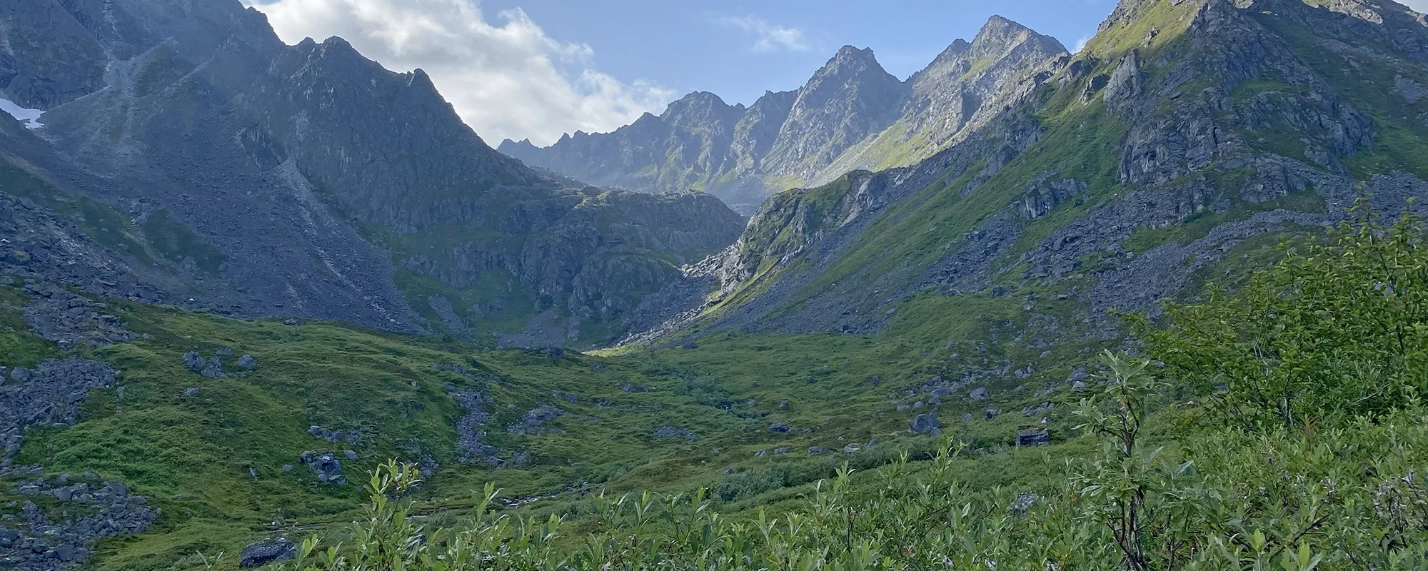 WS Doctors note requirement IMG_2113.jpg