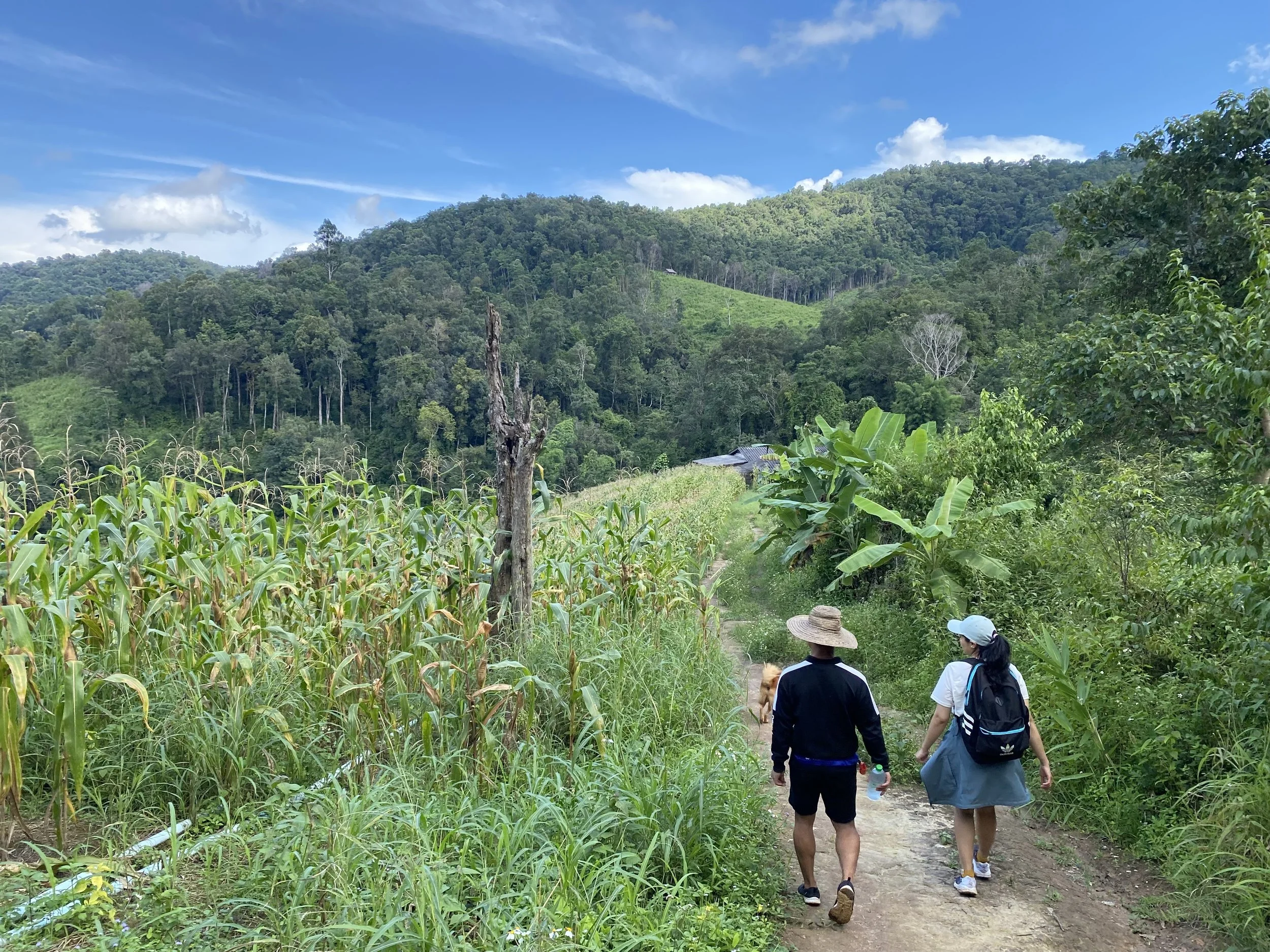 Copy of IMG_3919.jpg