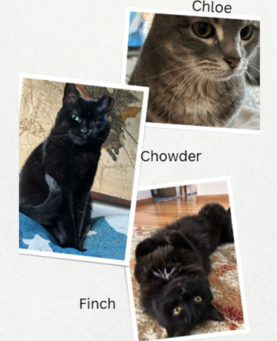 Screenshot 2026-01-11 144354.png