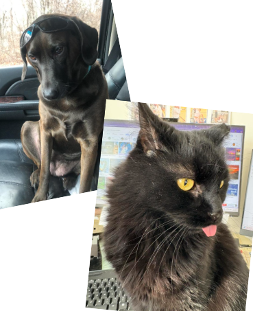 Screenshot 2026-01-11 144843.png