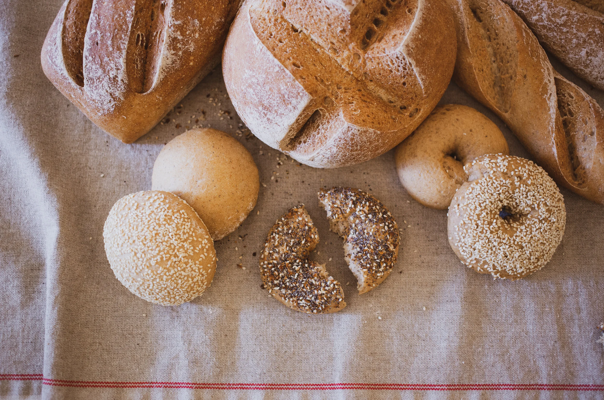 The Bread Collection.jpg