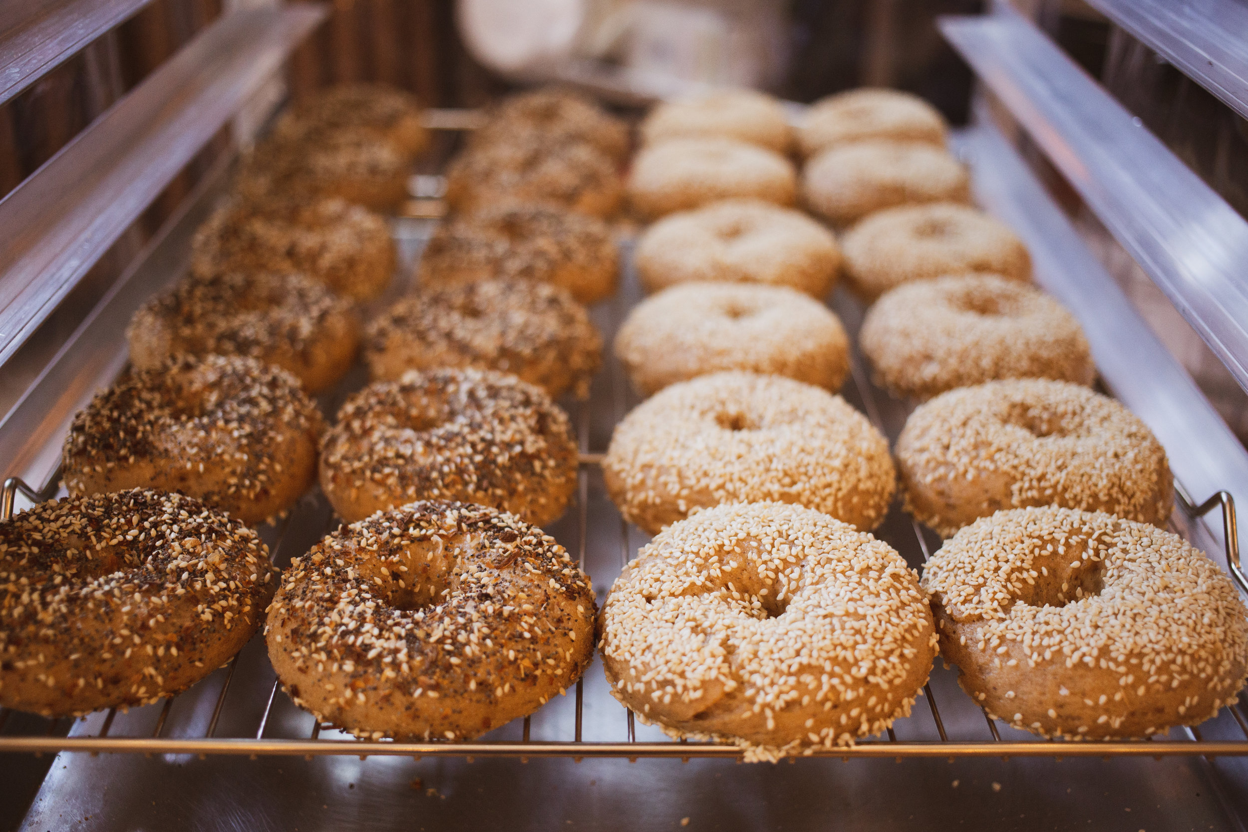 Bagels.jpg